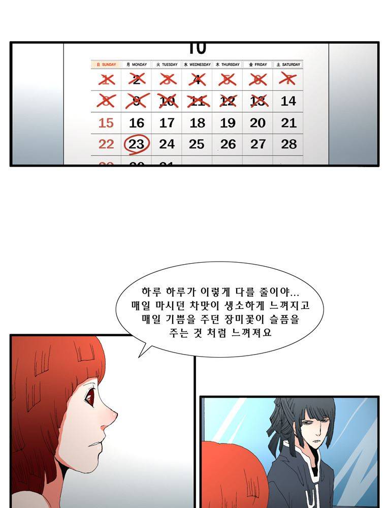 트레이스 장미 18 11