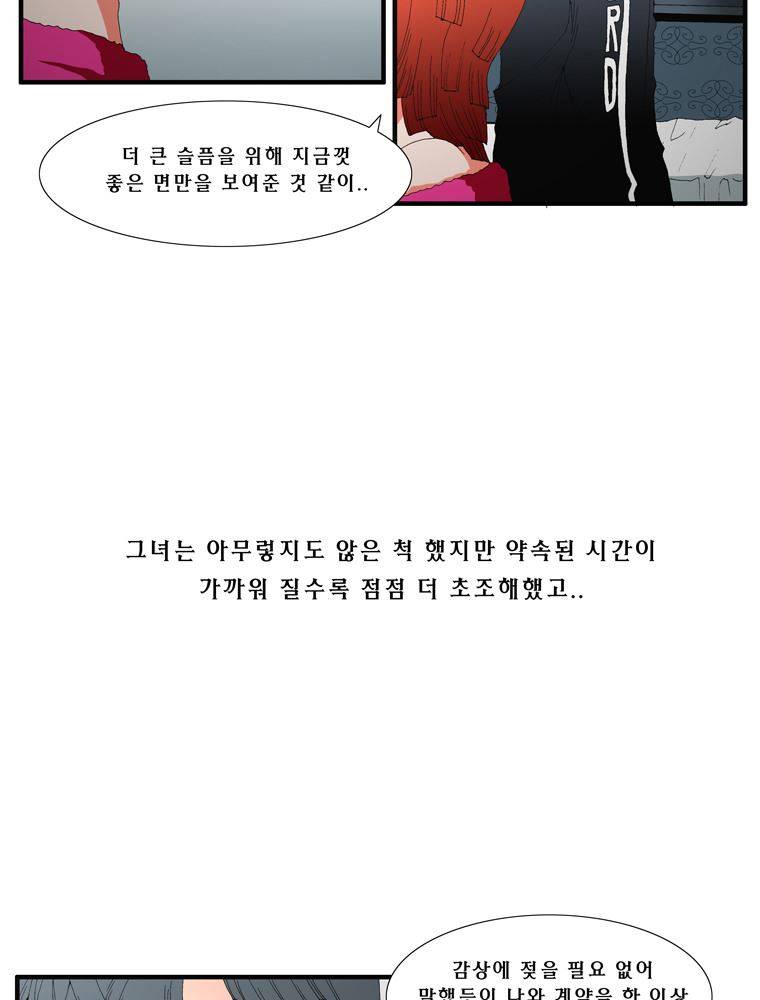 트레이스 장미 18 12
