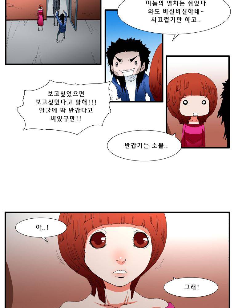 트레이스 장미 18 19
