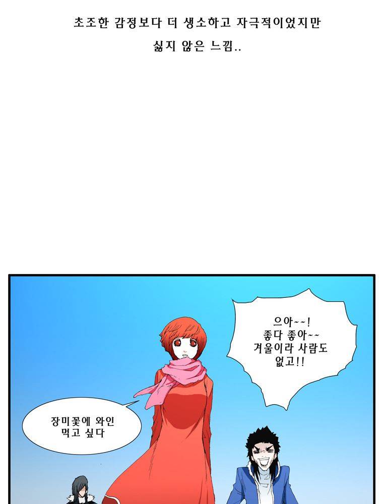 트레이스 장미 18 36