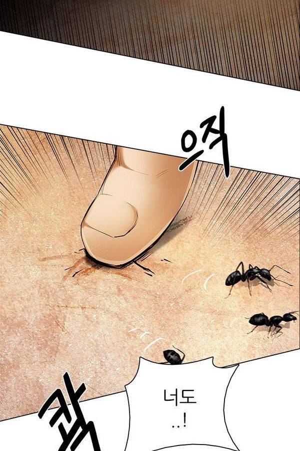다이스 184화 19