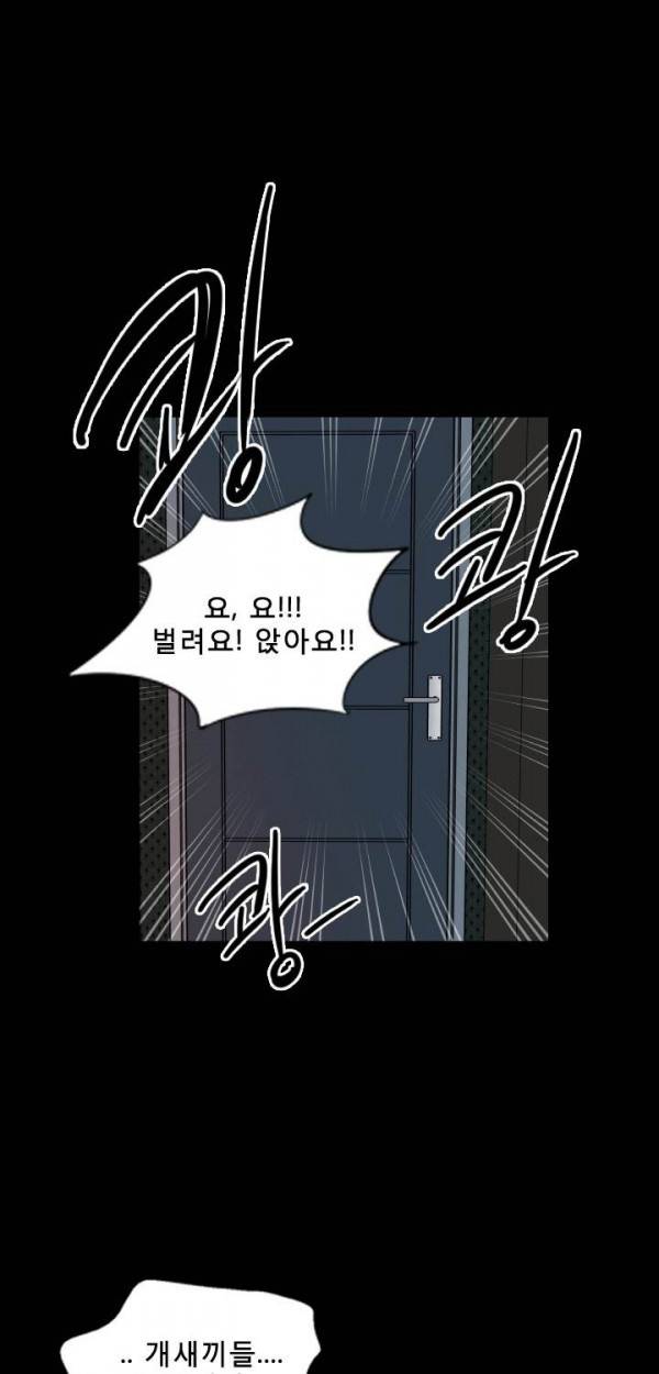 마돈나 13화 39