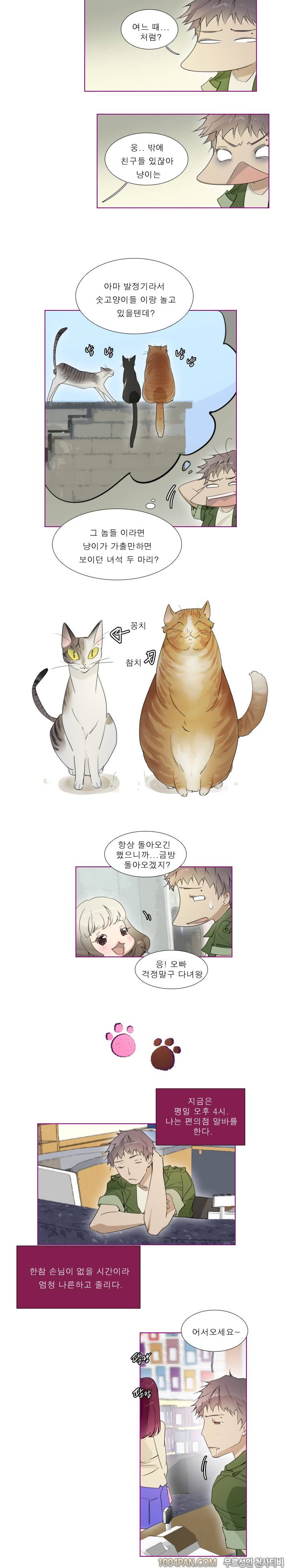 아지냥이 9화 4