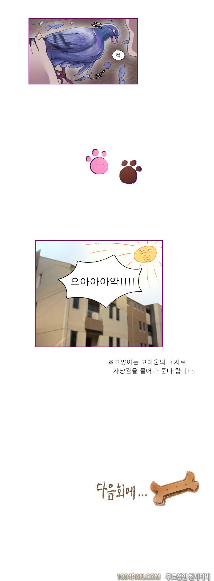 아지냥이 9화 7