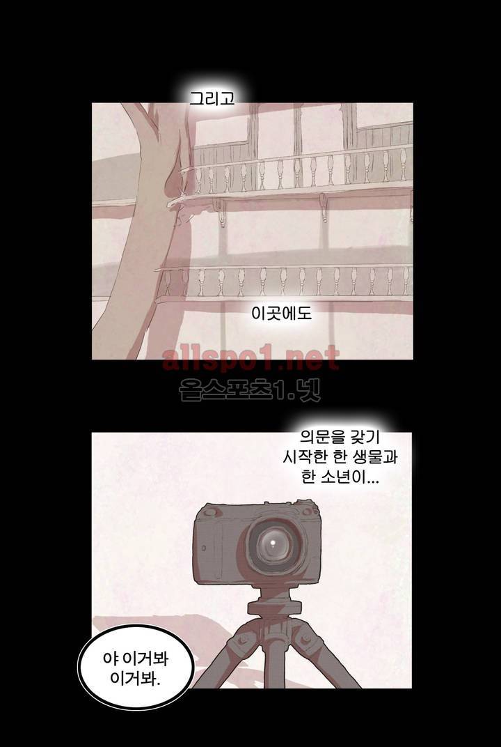 박씨유대기 27화 2