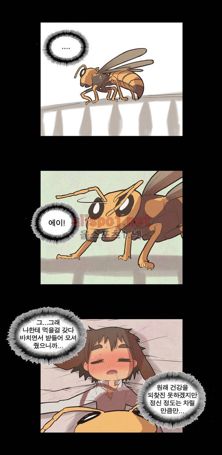 박씨유대기 27화 14