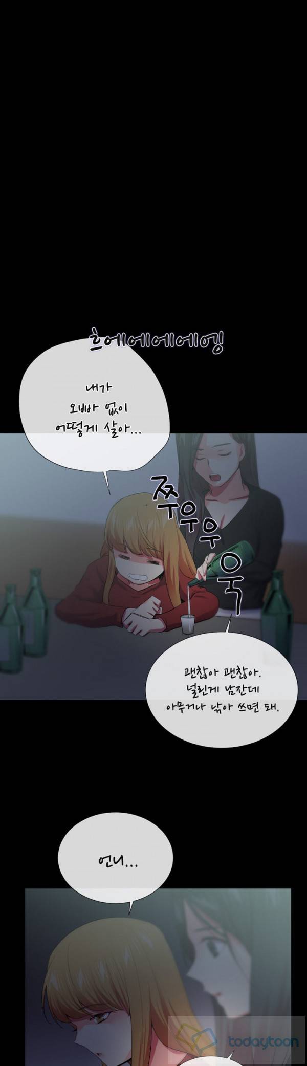시크릿 파트너 25화 29