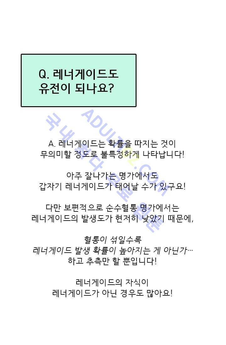 스타폴:별을 위한 노래 시즌1 후기 50