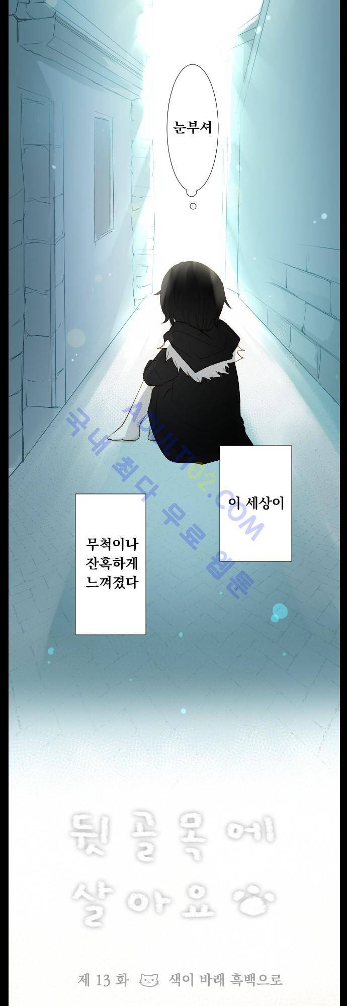 뒷골목에 살아요 13화 3