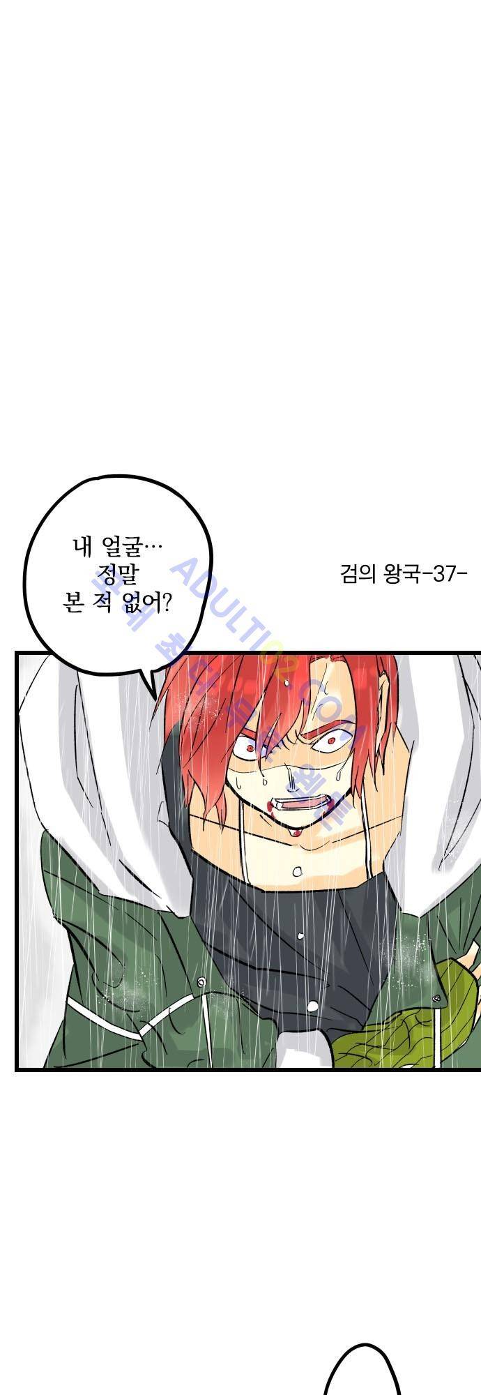 검의 왕국 37화 2