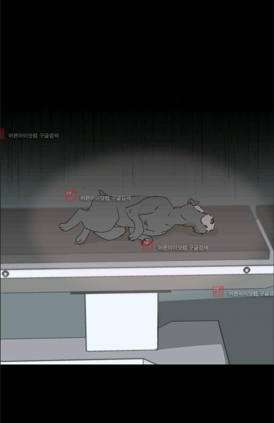 애니멀 아이즈 10화 38