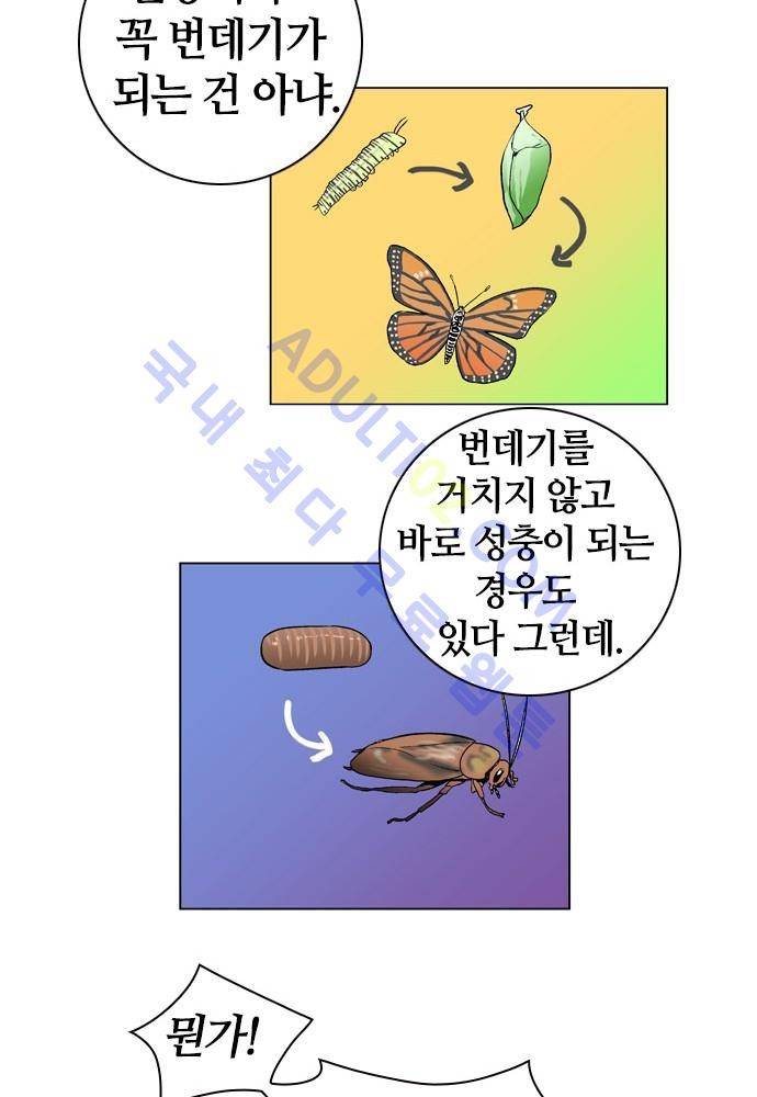 파이어스 54화 20