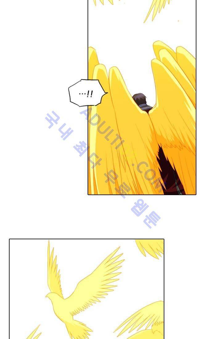 안티 안티 엔젤 62화 41