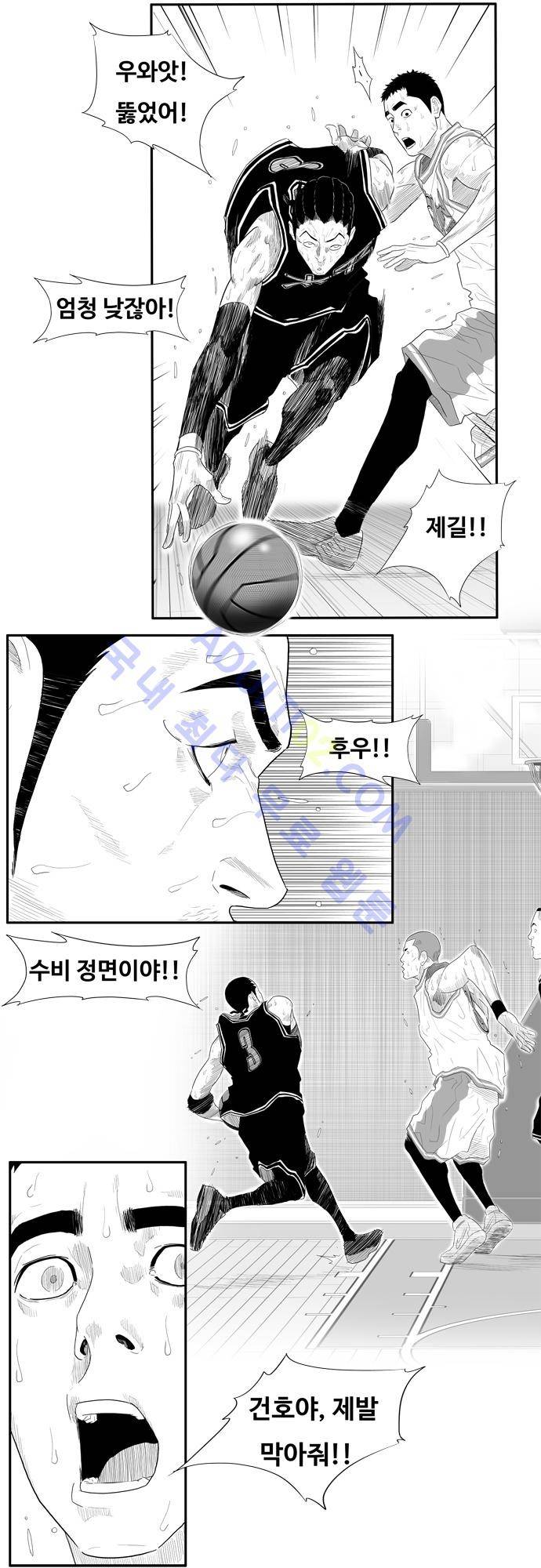 훕스(Hoops) 44화 15