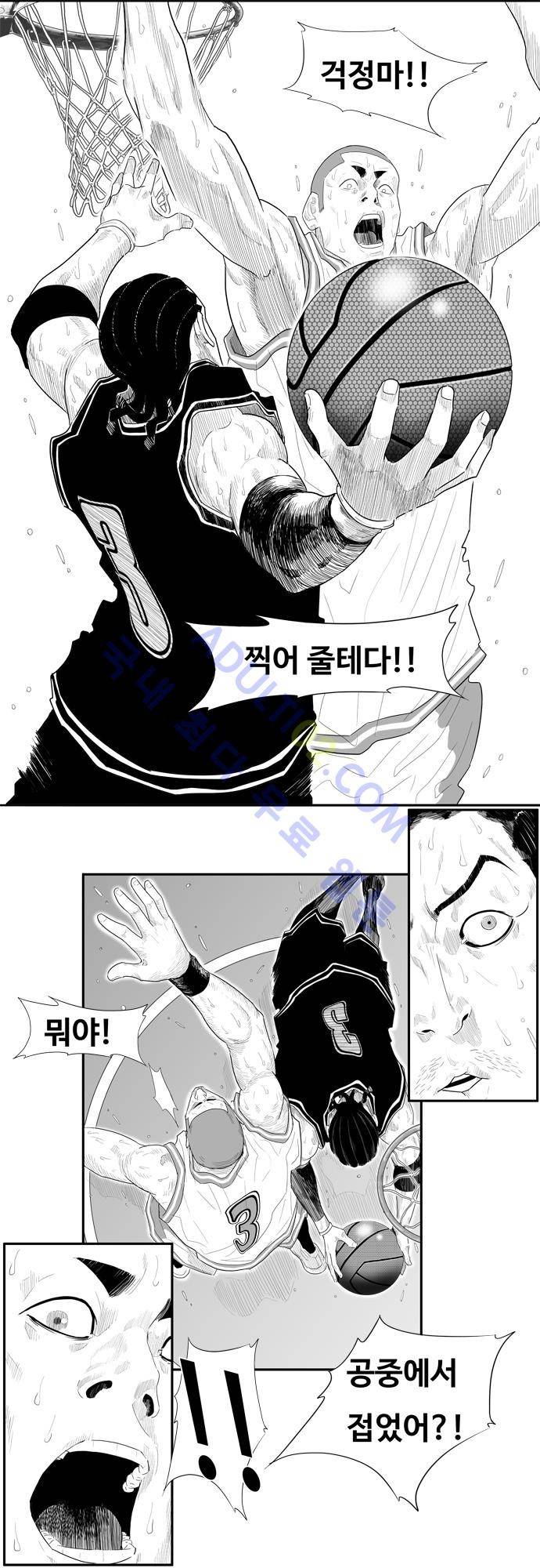 훕스(Hoops) 44화 16