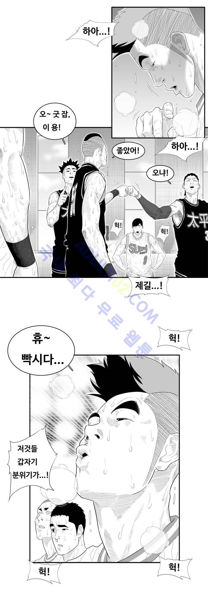 훕스(Hoops) 54화 15
