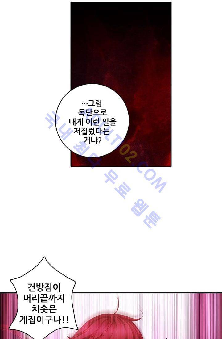 아도니스 6화 8
