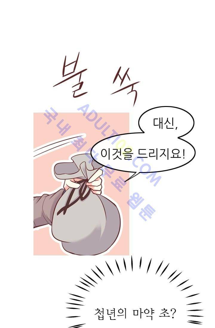노비들의 비밀정원 48화 38