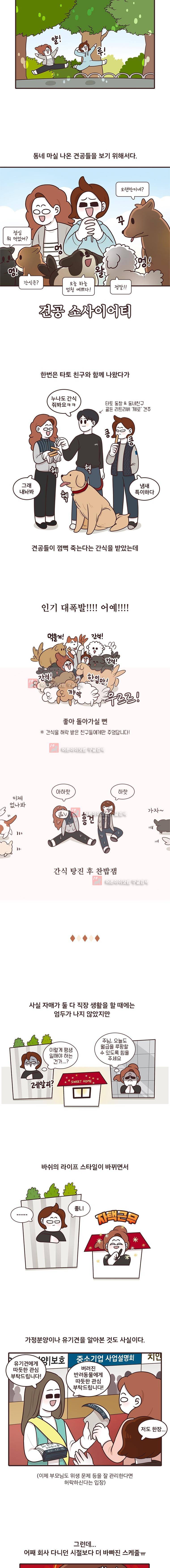 과격자매단 44. 3
