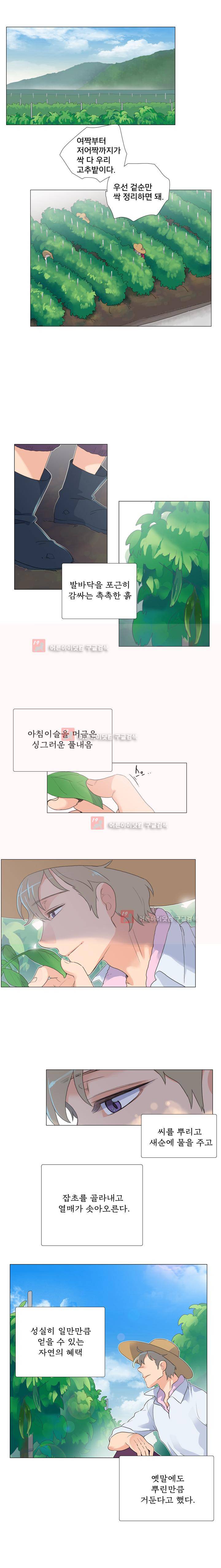 공대에는 아름이가 없다 61화 1