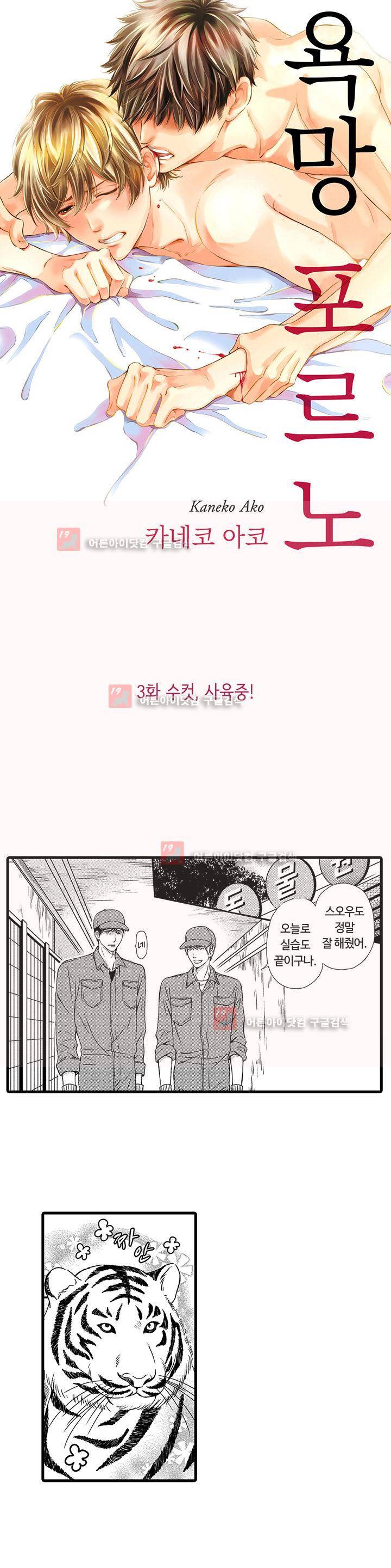 욕망 포르노 3화 1