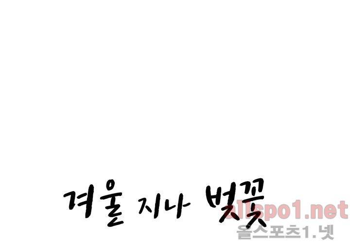 겨울 지나 벚꽃 25화 8