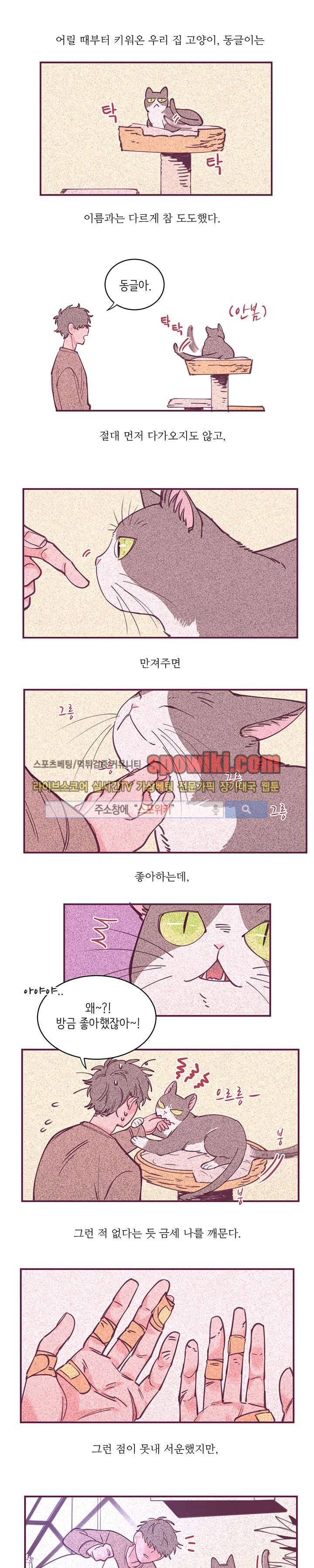 엇갈림의 바다 4화 1