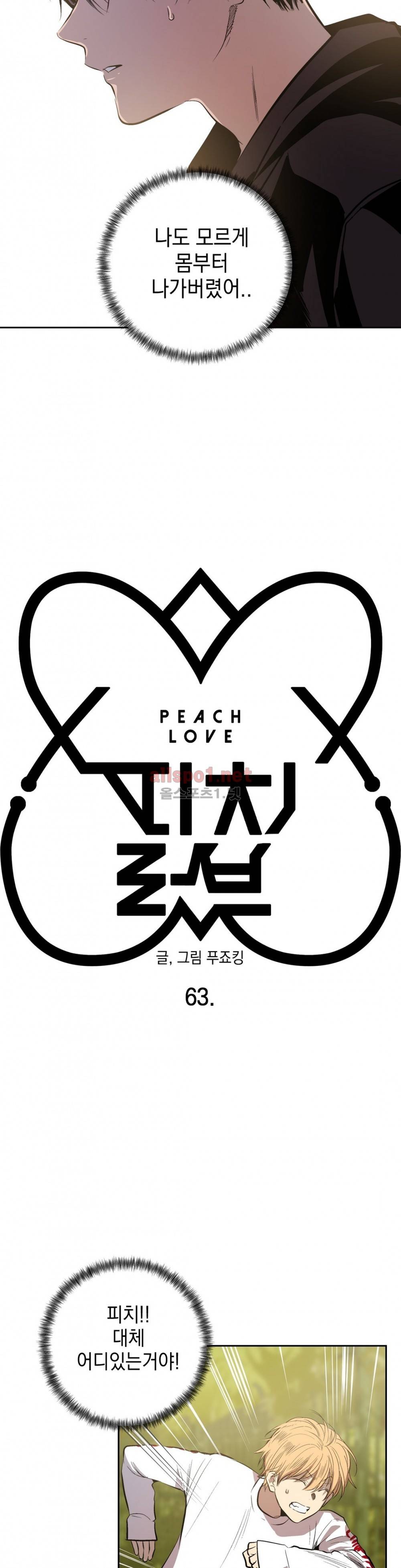 피치러브 63화 2