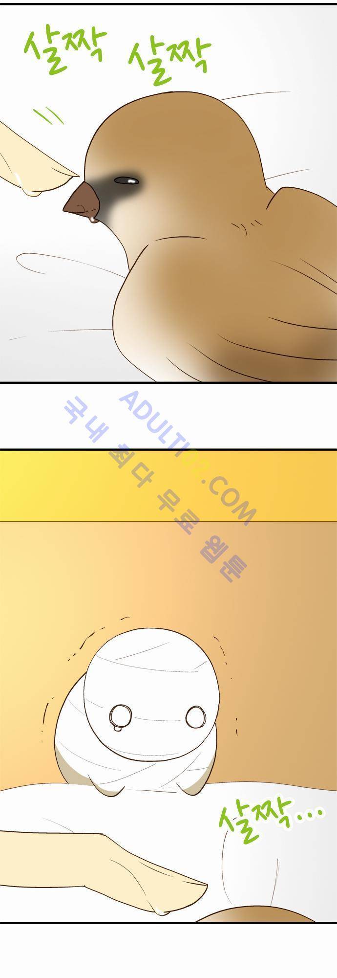 미이라 사육법 40화 2