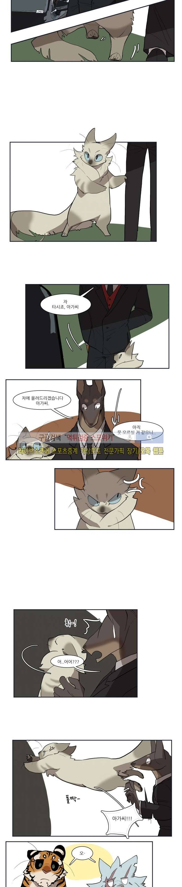 고양이 아가씨와 경호원들 35화 2