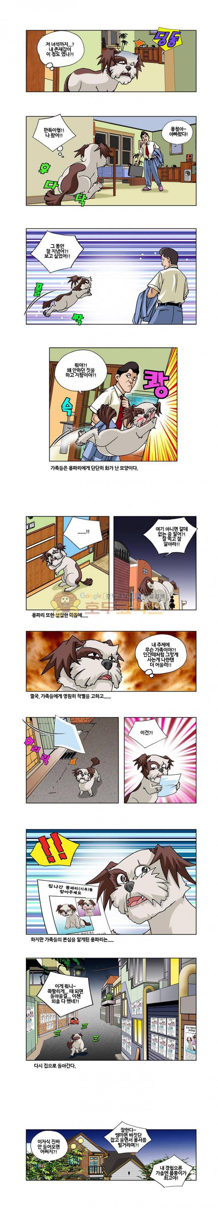 조폭강쥐 용파리 17화 - 귀향 (4) 2