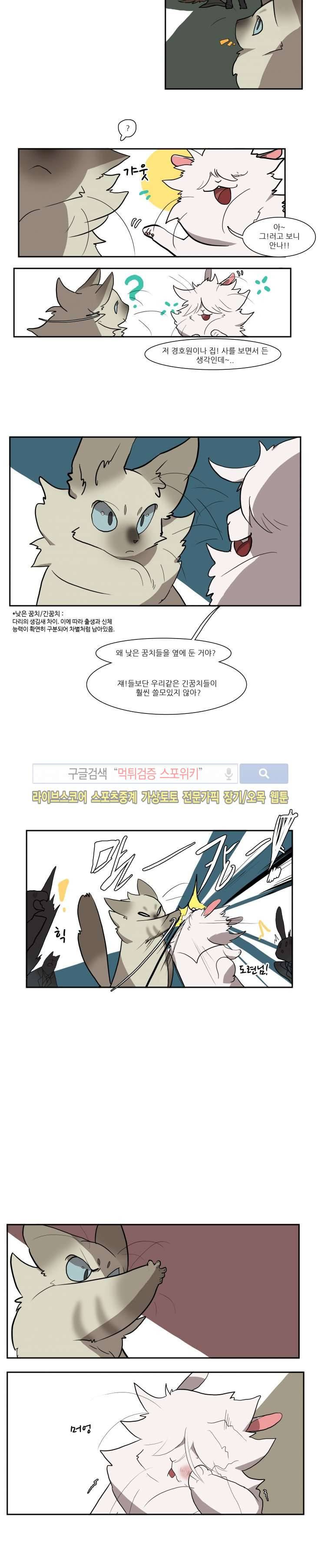 고양이 아가씨와 경호원들 39화 2