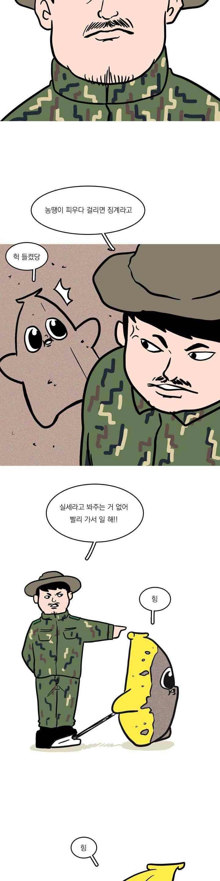 바나나툰 46화 9