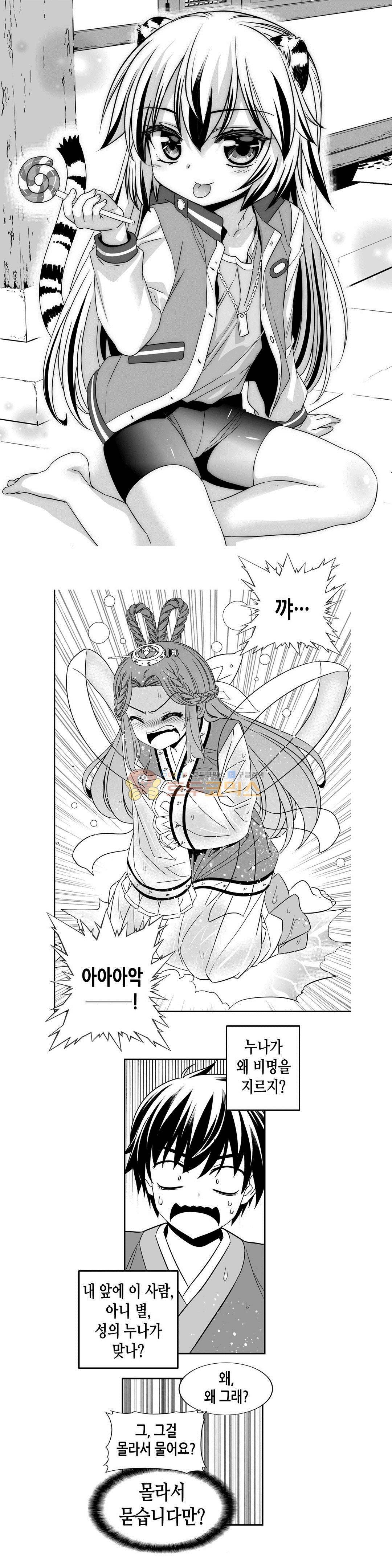 나와 호랑이님 227화 1