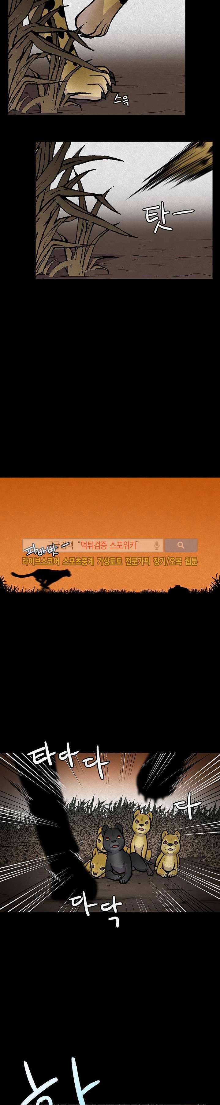 동물의 왕국 11화 3