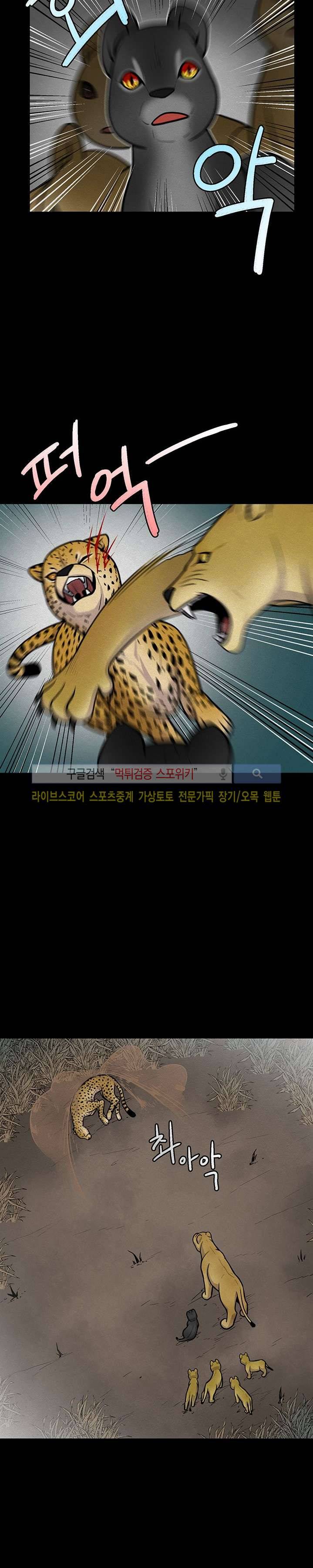 동물의 왕국 11화 4