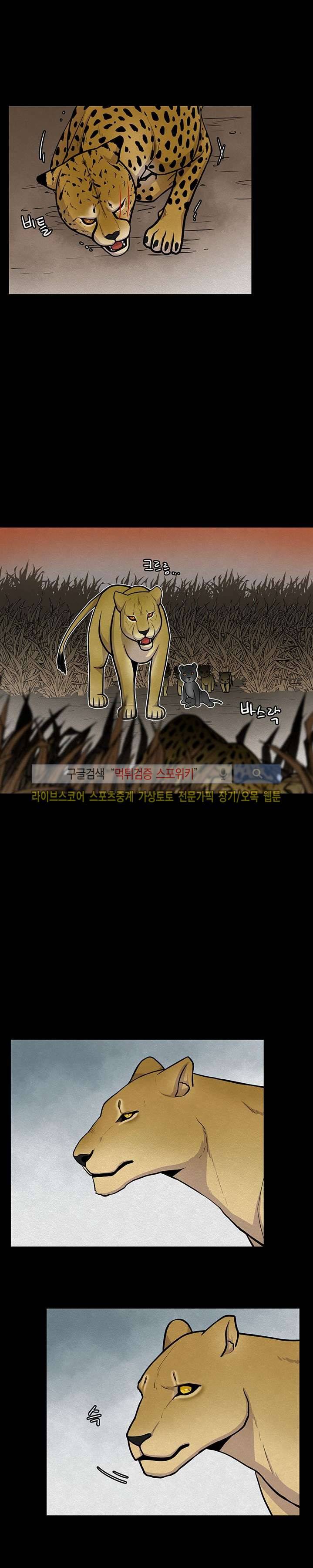 동물의 왕국 11화 5