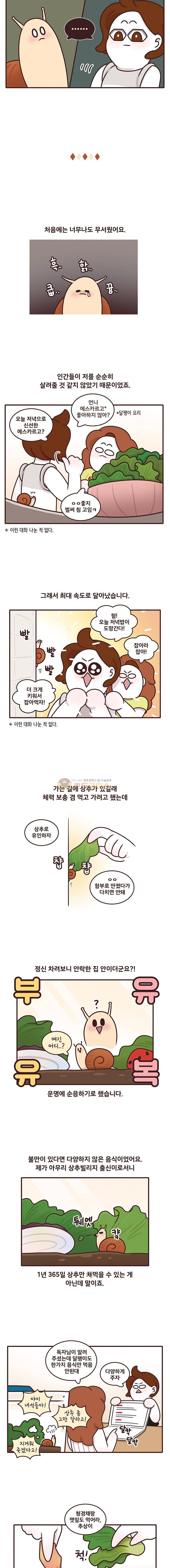 과격자매단 124화 - 킹추상 일기 2