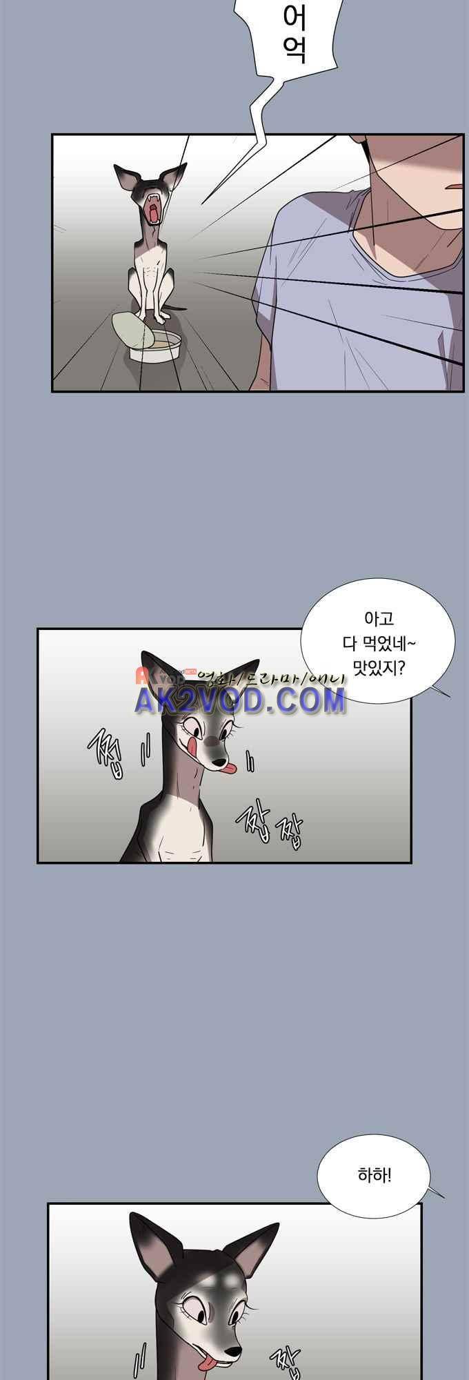 명예소녀의 추락 29화 9