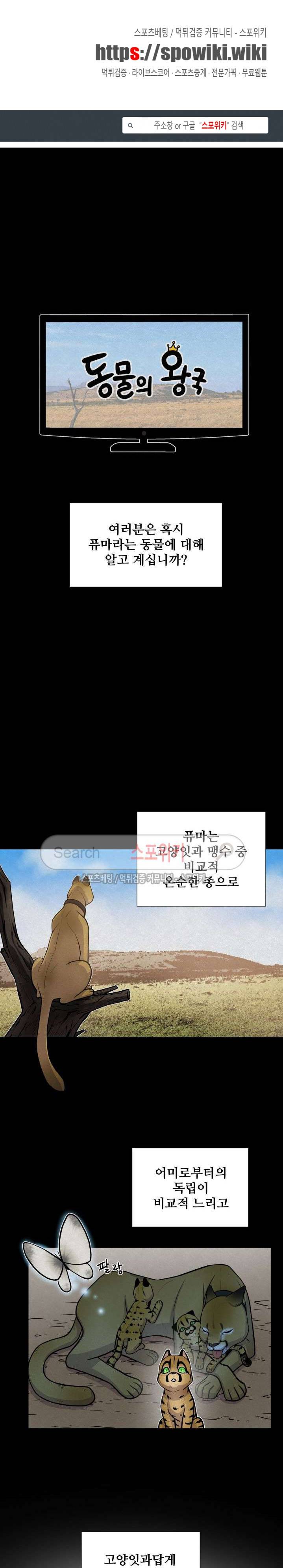 동물의 왕국 29화 1
