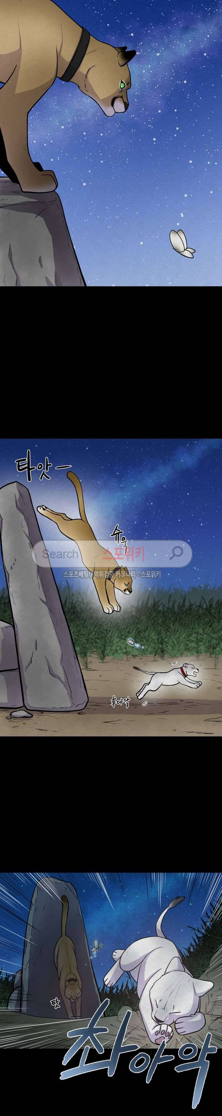 동물의 왕국 29화 4