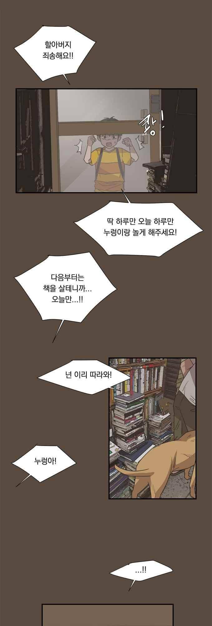 명예소녀의 추락 53화 16