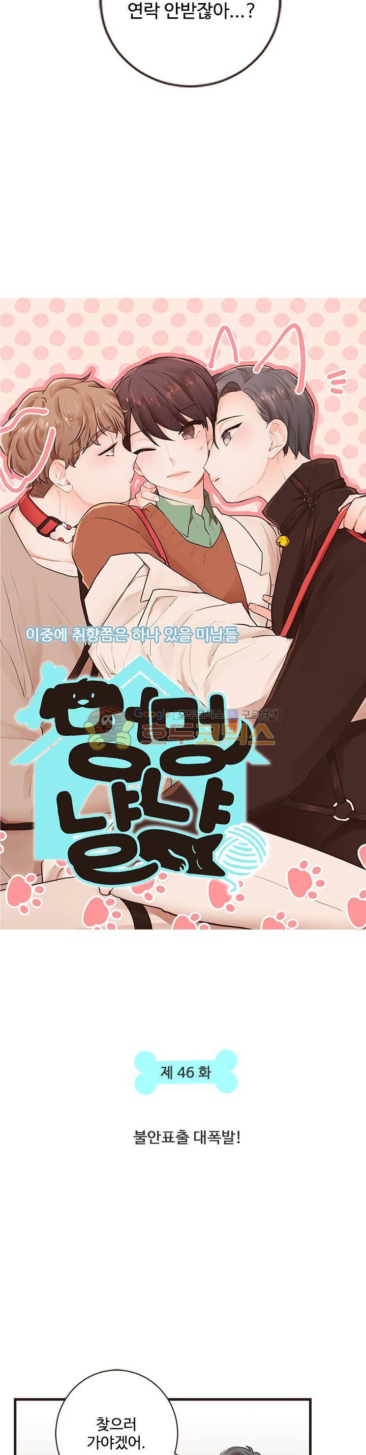 멍멍냥냥 46화 - 불안표출 대폭발! 3