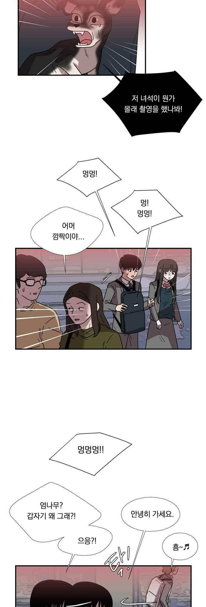 명예소녀의 추락 65화 8
