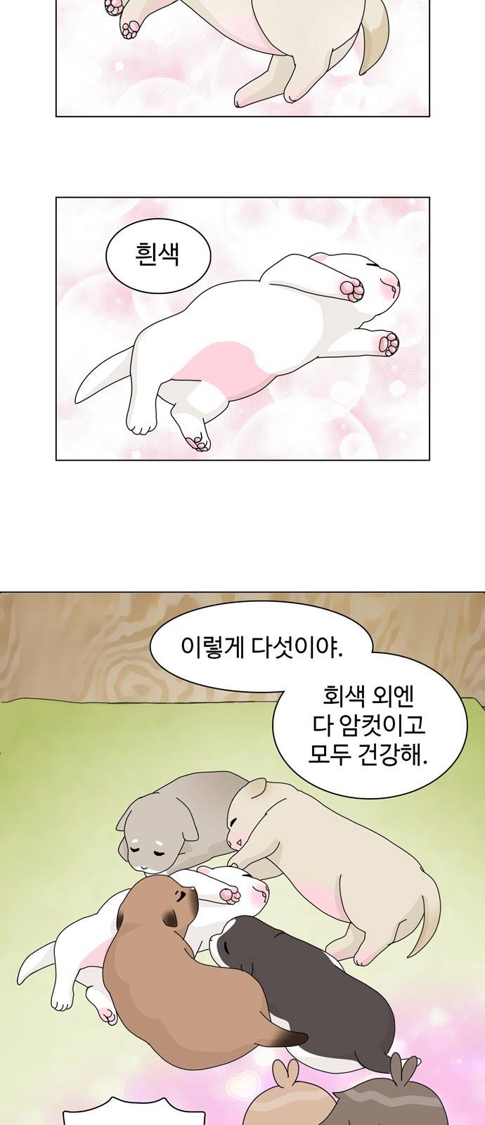 개를 낳았다 31화 3