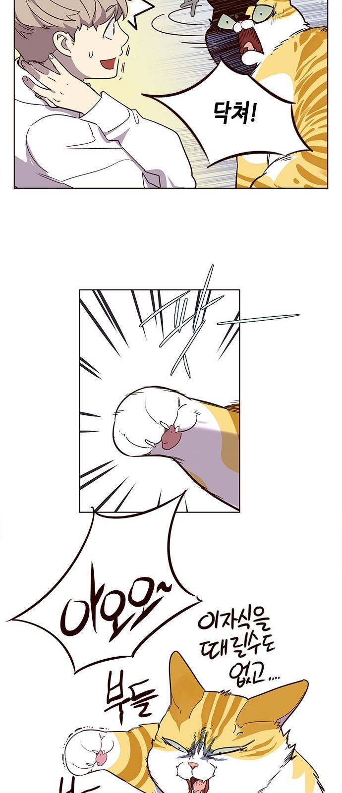 일렉시드 10화 6