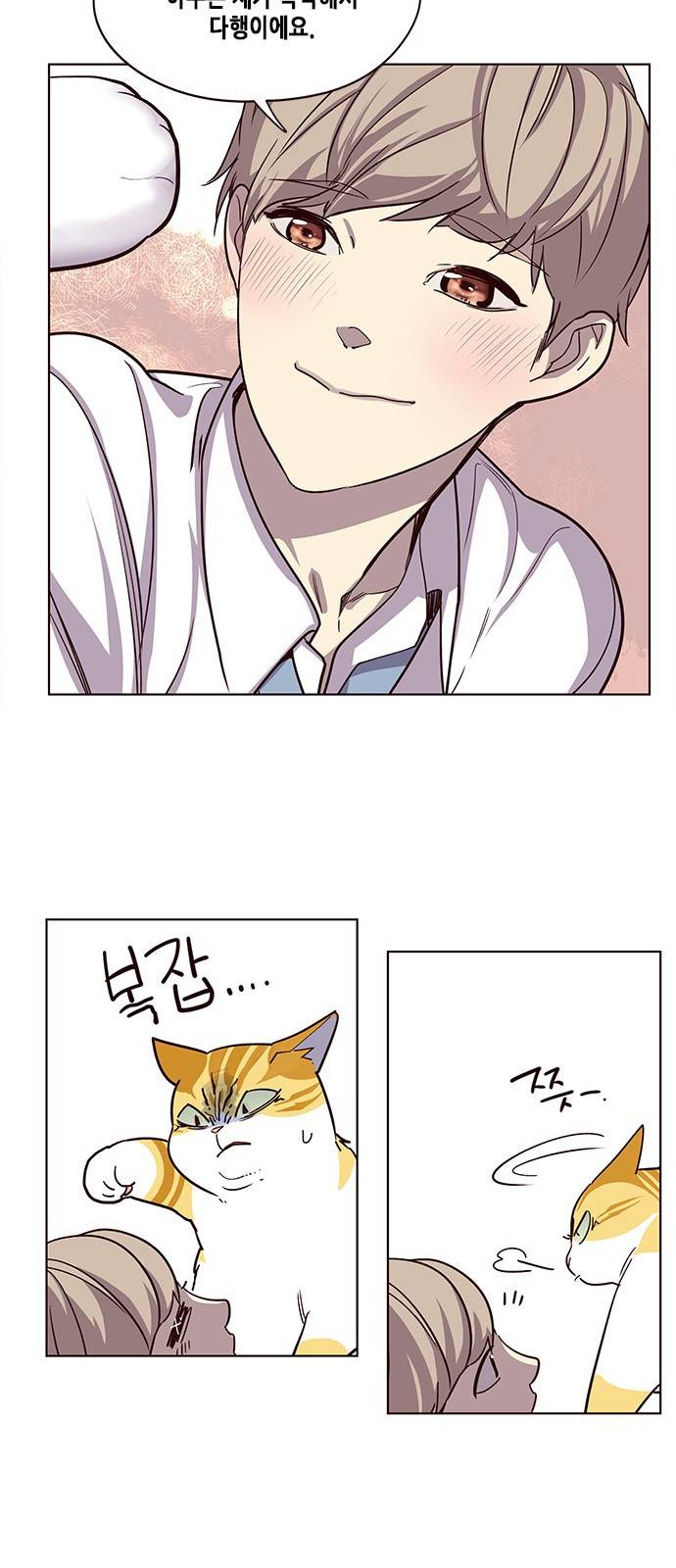 일렉시드 10화 8