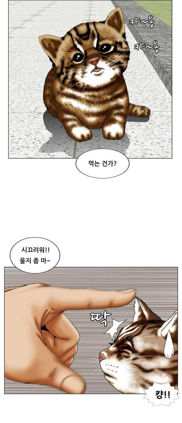 최강전설 강해효 (254) 39