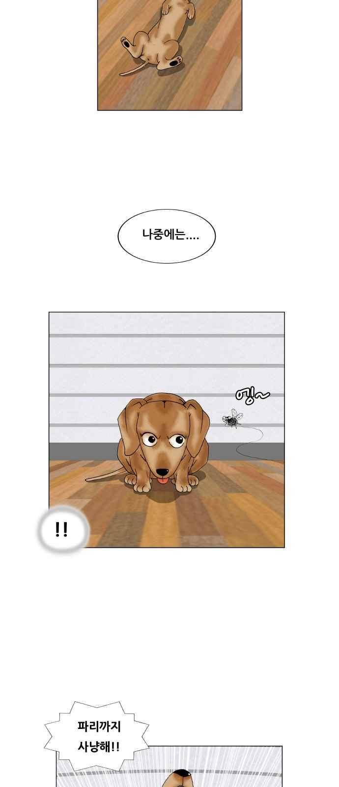 최강전설 강해효 (279) 36