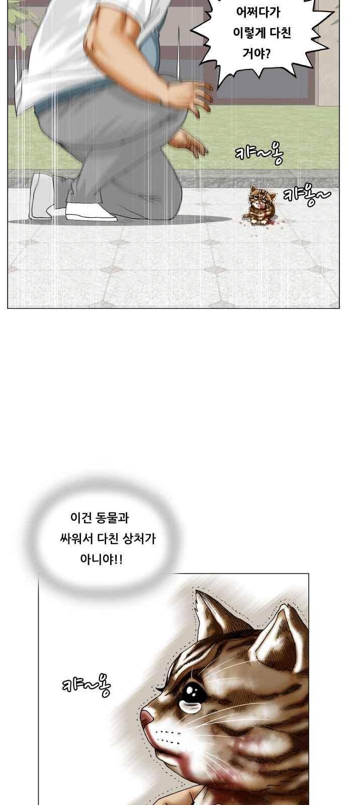 최강전설 강해효 (290) 27